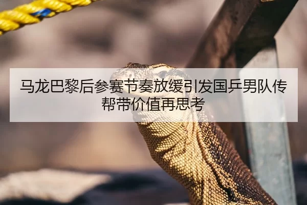 马龙巴黎后参赛节奏放缓引发国乒男队传帮带价值再思考