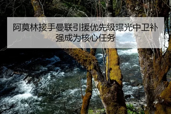 阿莫林接手曼联引援优先级曝光中卫补强成为核心任务