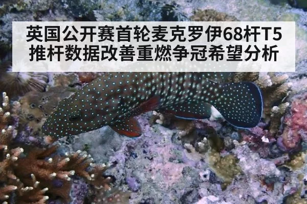 英国公开赛首轮麦克罗伊68杆T5 推杆数据改善重燃争冠希望分析